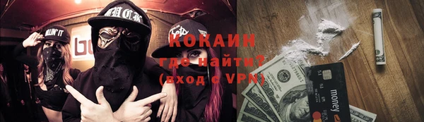 хмурый Алексин