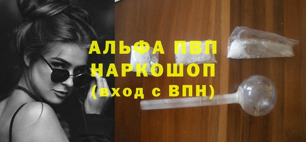 хмурый Алексин