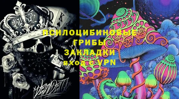 хмурый Алексин