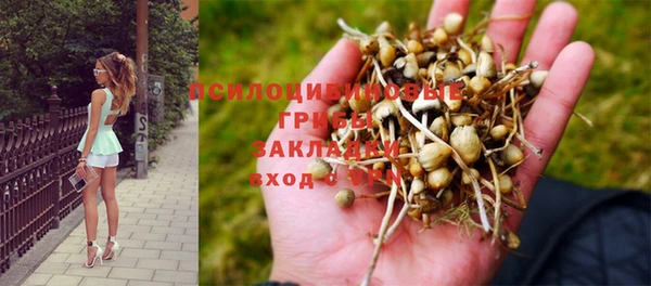 хмурый Алексин