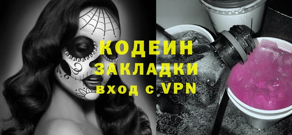 хмурый Алексин