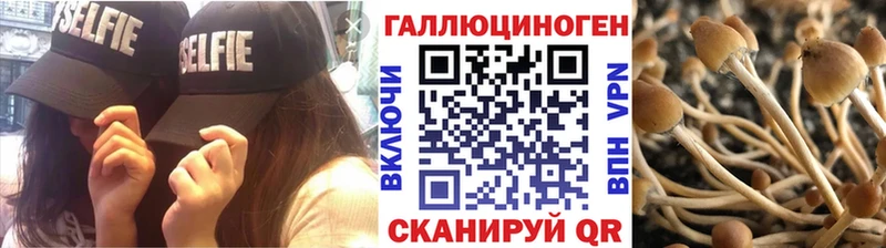 Галлюциногенные грибы Psilocybine cubensis  Лысьва 